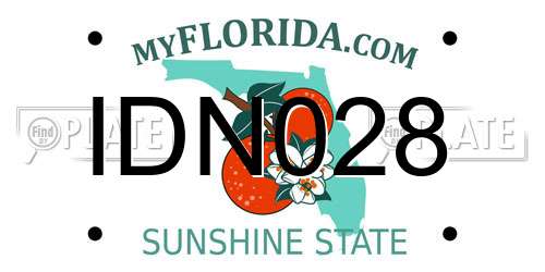 IDN028 Florida License Plate