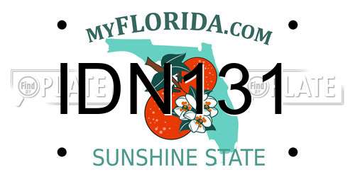 IDN131 Florida License Plate