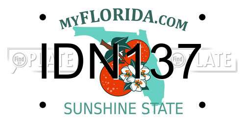 IDN137 Florida License Plate