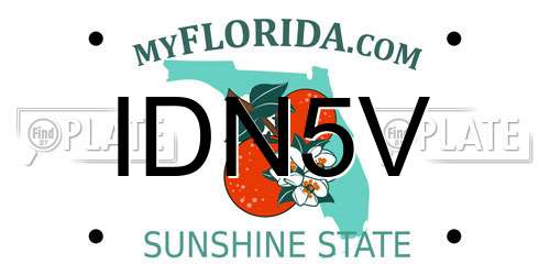 IDN5V Florida License Plate