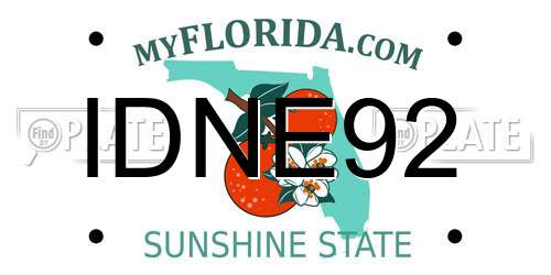 IDNE92 Florida License Plate