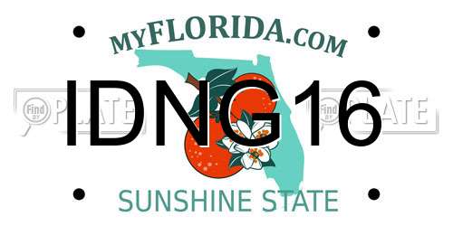 IDNG16 Florida License Plate