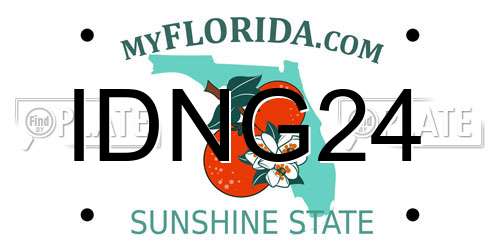 IDNG24 Florida License Plate
