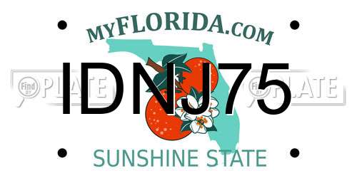 IDNJ75 Florida License Plate