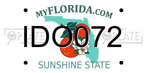 IDO072 Florida License Plate
