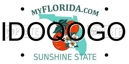 IDOQOGO Florida License Plate