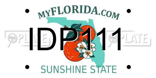 IDP111 Florida License Plate