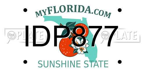 IDP877 Florida License Plate