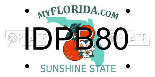 IDPB80 Florida License Plate