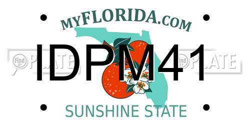 IDPM41 Florida License Plate