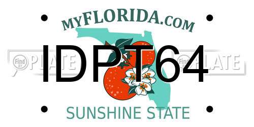IDPT64 Florida License Plate