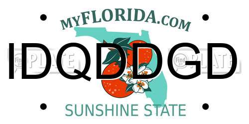 IDQDDGD Florida License Plate