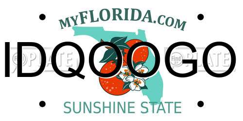 IDQOOGO Florida License Plate