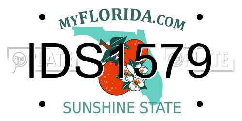 IDS1579 Florida License Plate