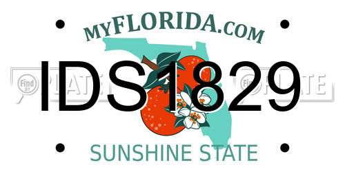 IDS1829 Florida License Plate