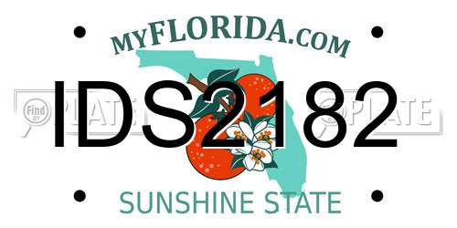 IDS2182 Florida License Plate