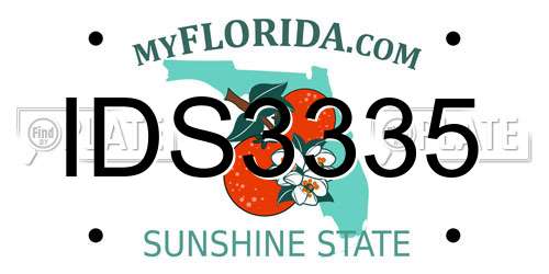 IDS3335 Florida License Plate