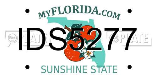 IDS5277 Florida License Plate