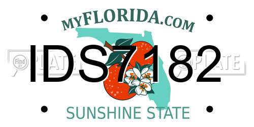 IDS7182 Florida License Plate