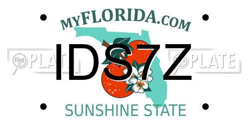 IDS7Z Florida License Plate