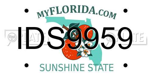IDS9959 Florida License Plate
