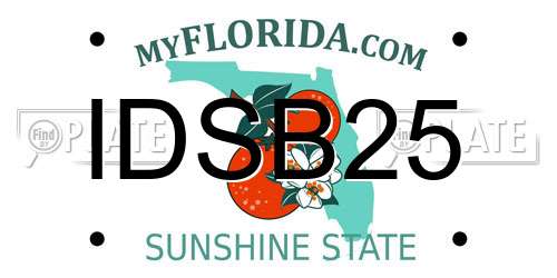IDSB25 Florida License Plate
