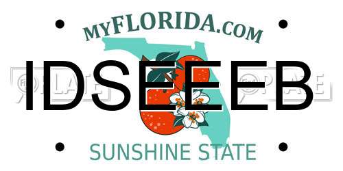 IDSEEEB Florida License Plate