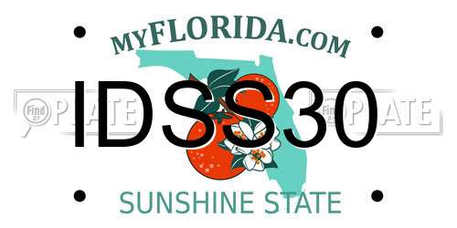 IDSS30 Florida License Plate