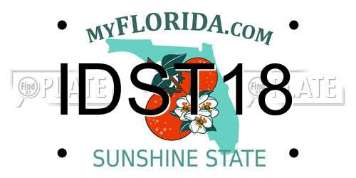 IDST18 Florida License Plate
