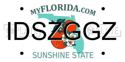 IDSZGGZ Florida License Plate