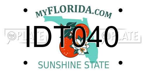 IDT040 Florida License Plate