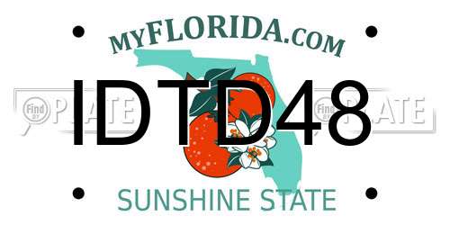 IDTD48 Florida License Plate