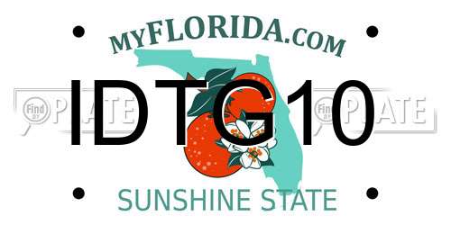 IDTG10 Florida License Plate