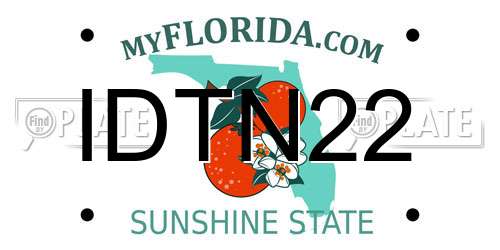 IDTN22 Florida License Plate