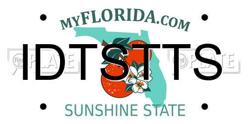 IDTSTTS Florida License Plate