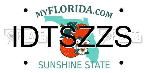 IDTSZZS Florida License Plate