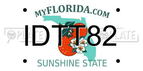IDTT82 Florida License Plate
