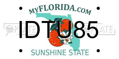 IDTU85 Florida License Plate