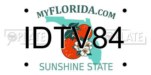 IDTV84 Florida License Plate