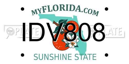 IDV808 Florida License Plate