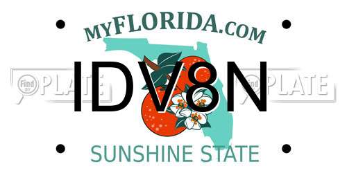 IDV8N Florida License Plate