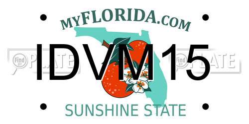 IDVM15 Florida License Plate