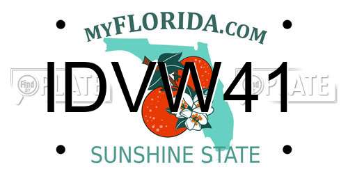 IDVW41 Florida License Plate
