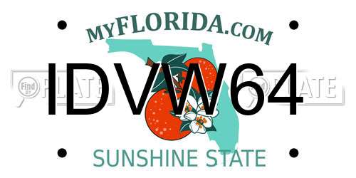 IDVW64 Florida License Plate