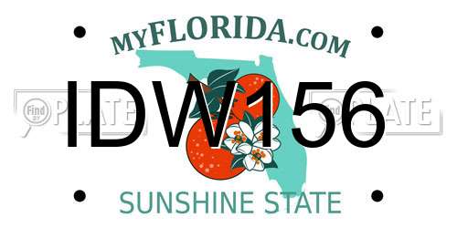 IDW156 Florida License Plate