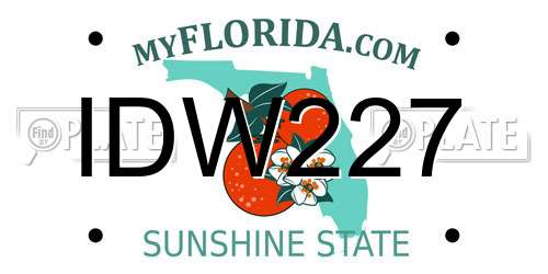 IDW227 Florida License Plate
