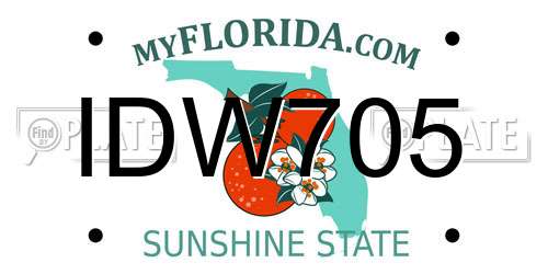 IDW705 Florida License Plate