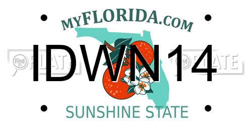 IDWN14 Florida License Plate