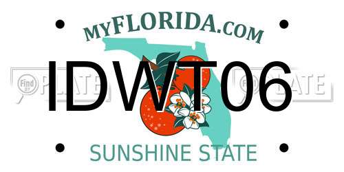 IDWT06 Florida License Plate
