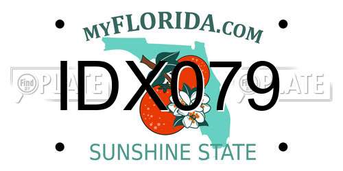 IDX079 Florida License Plate